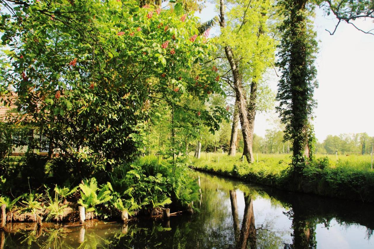 بورغ Landgasthof Zur Wildbahn المظهر الخارجي الصورة